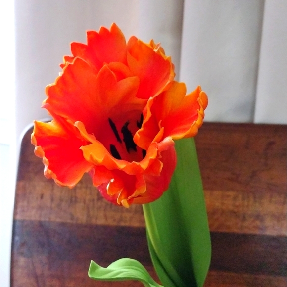 Accents Tulip Artificial Bulb Plant Poshmark